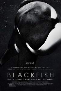 kara balik blackfish filmini izle turkce dublaj